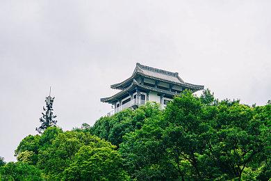 有传言称《女神异闻录3：携带版》重制版正在开发中